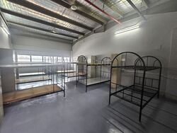 Kranji Link (D25), Factory #419262611